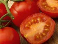 Potencianövelő ételek, paradicsom