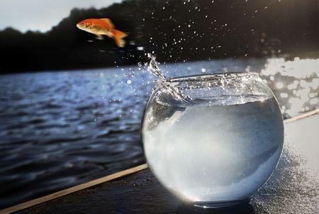 Szeretkezési tipp: vágyfeltáró formula