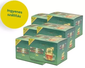 Gentlemen's Energy citromos tea 6 doboz
