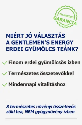 Miért a Gentlemens energy erdei tea?