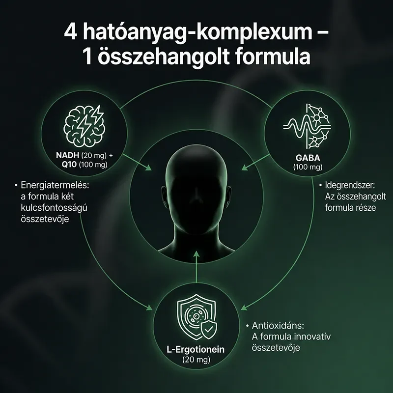 NAD+ kiegészítő: Idegrendszer, energiatermelés, antioxidáns védelem
